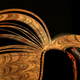 Illustration for article titled Favorite book of the year